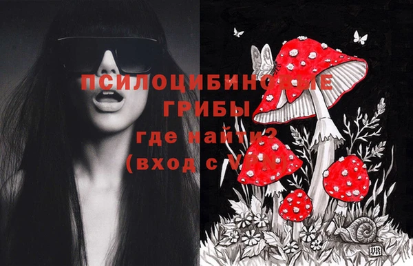 первитин Балахна