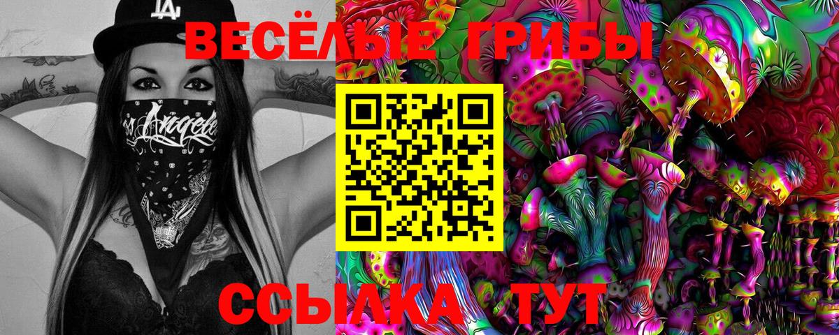 Галлюциногенные грибы прущие грибы Нерюнгри